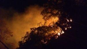 Incêndio no Parque Ecológico de Morrinhos se alastra