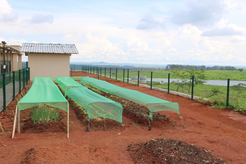 Emater/GO ensina pacientes do Credeq a cultivarem horta