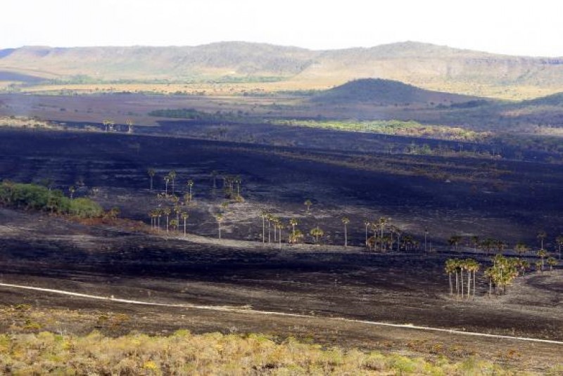 Parque Nacional da Chapada dos Veadeiros deve reabrir portas nesta quarta (1)