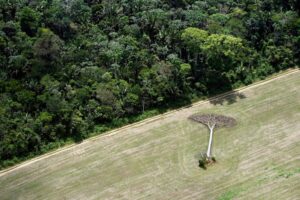 Intervenção humana ainda é a principal causa de desastres naturais no mundo