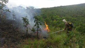 Incêndio atinge Parque Serra de Caldas