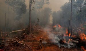 Desde abril de 2019 nenhuma multa ambiental foi cobrada