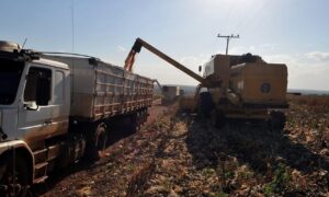 ONU alerta que mudança climática ameaça produção de alimentos