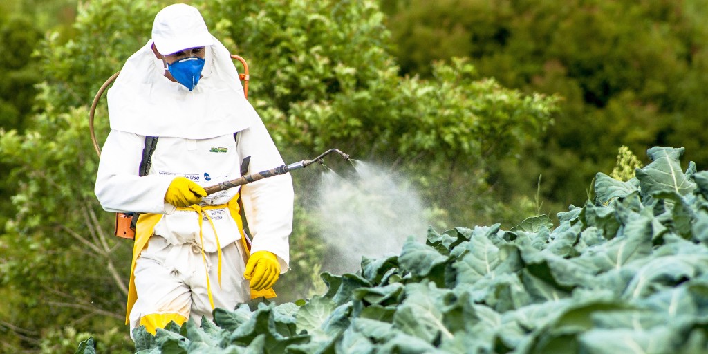 Fazendeiro tem atividades suspensas por uso sem controle de agrotóxico