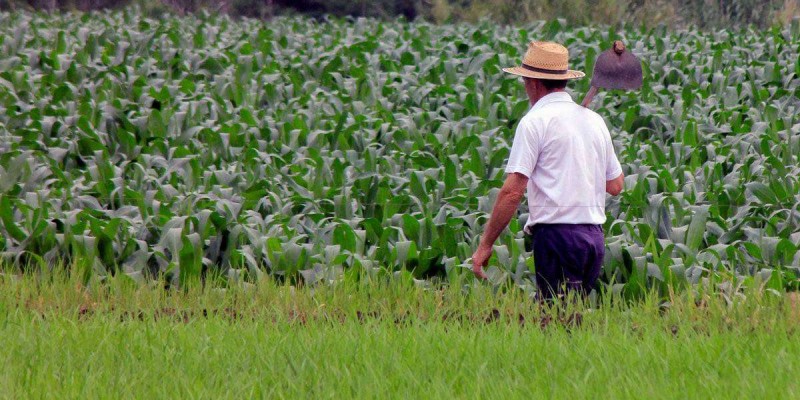 Embrapa quer aproximar do setor produtivo rural