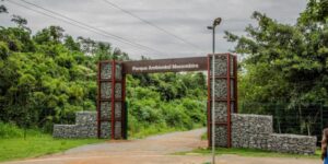 Parque Ambiental Macambira Anicuns sofre com mato alto e falta de manutenção