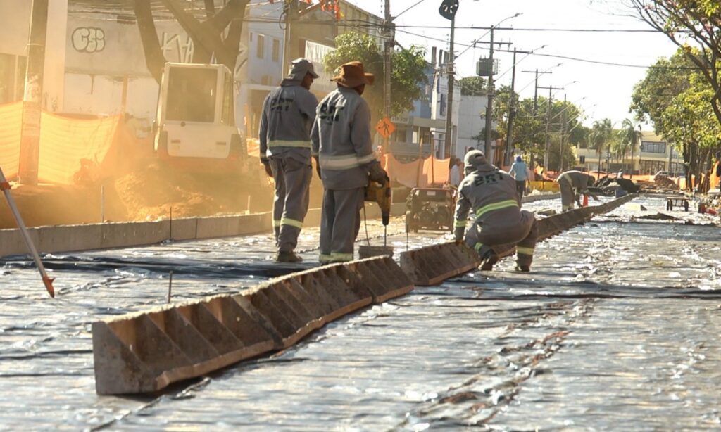 Iphan autoriza corte de 71 árvores para obras do BRT na Avenida Goiás