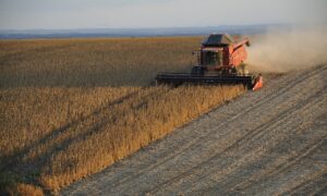 Estudo aponta que retomada econômica passa pela questão ambiental