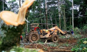 Investidores esperam resultados da política ambiental