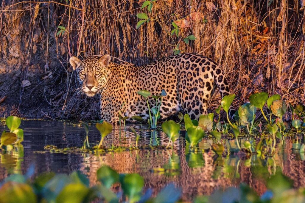 O turismo com base comunitária mostra as belas paisagens nacionais de forma transformadora