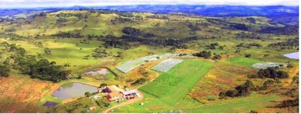 Ministro vai disponibilizar auditoria para checar dívidas de Goiás na área da saúde