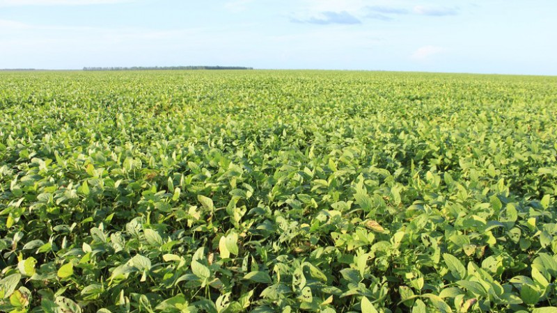 Governo destaca a força do campo em Goiás no Dia da Agricultura