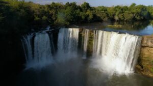 Museu do Amanhã celebra o Dia do Cerrado com programação o mês todo