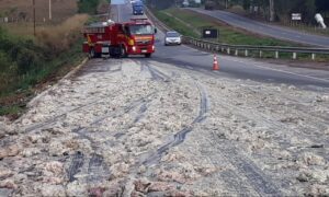 Carga de descartes de abatedouro cai e provoca acidente entre veículos