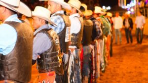 Secretaria da Agricultura divulga calendário de eventos 2019