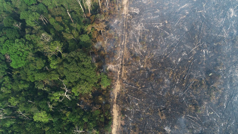 Inpe afirma que 2021 é o terceiro pior ano de queimadas na história do Amazonas; entenda