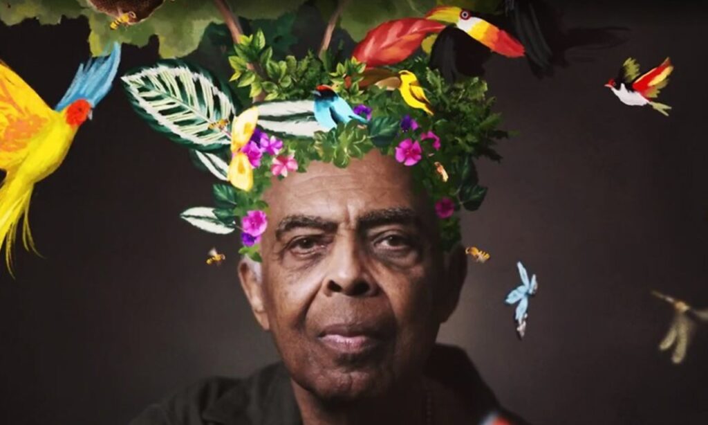 Gilberto Gil grava música em prol de florestas brasileiras