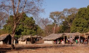 Nordeste de Goiás: kalungas querem ser incluídos nos grupos prioritários