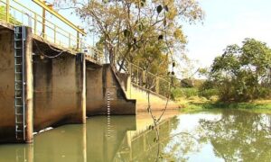 Governo de Goiás descarta cobrança de taxa ambiental na Região Metropolitana de Goiânia