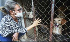 Cresce casos de maus-tratos a animais durante pandemia da Covid-19 em Goiás