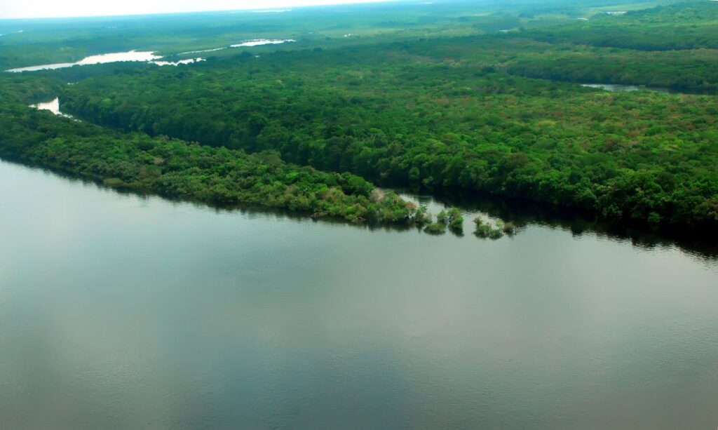 Mourão visita a Amazônia na companhia de embaixadores