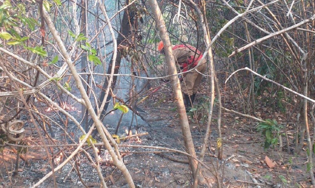 Incêndio na Chapada dos Veadeiros é extinto após cerca de duas semanas