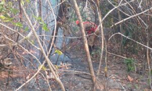 Incêndio na Chapada dos Veadeiros é extinto após cerca de duas semanas