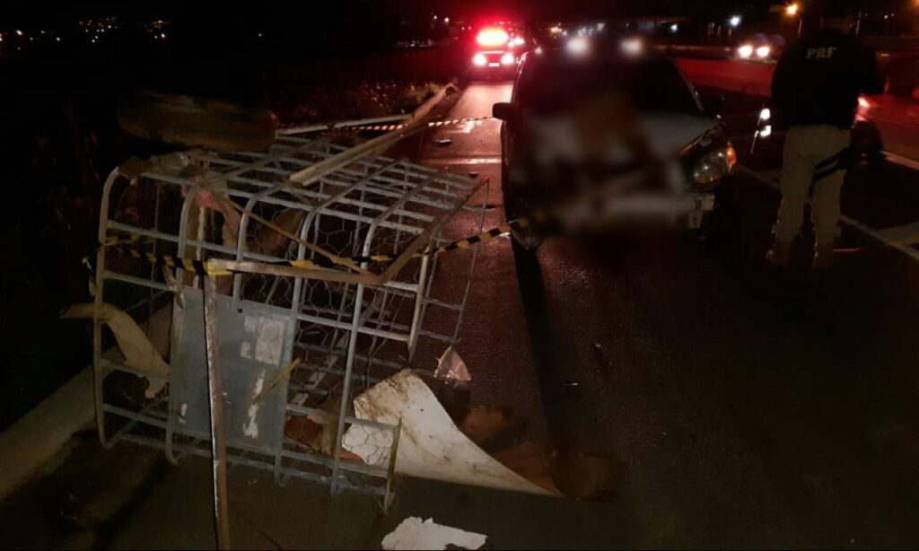 Catador de reciclagem morre após ser atropelado na BR-60