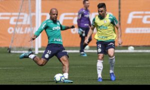 Palmeiras e Fluminense se enfrentam em jogo atrasado