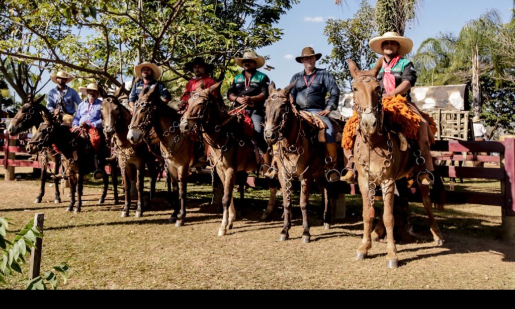 Romaria de Trindade chega ao 8º dia com desfile de cavaleiros e muladeiros