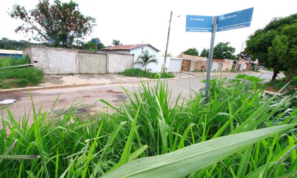 Moradores reclamam de mato alto