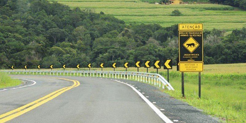 Projeto Rodobicho é aprovado na Assembleia Legislativa