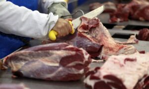 Vendas de carne para outros países devem crescer 8