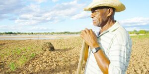 Lei concede descontos para pagamentos de dívidas de crédito rural