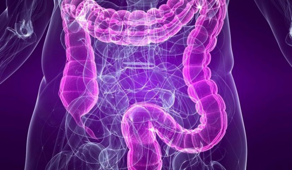 Ação conscientiza população sobre doenças inflamatórias intestinais