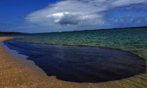 Óleo que atingiu litoral do Brasil pode ser do mar da África