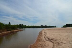 Semana de Meio Ambiente começa nesta segunda-feira em Goiás