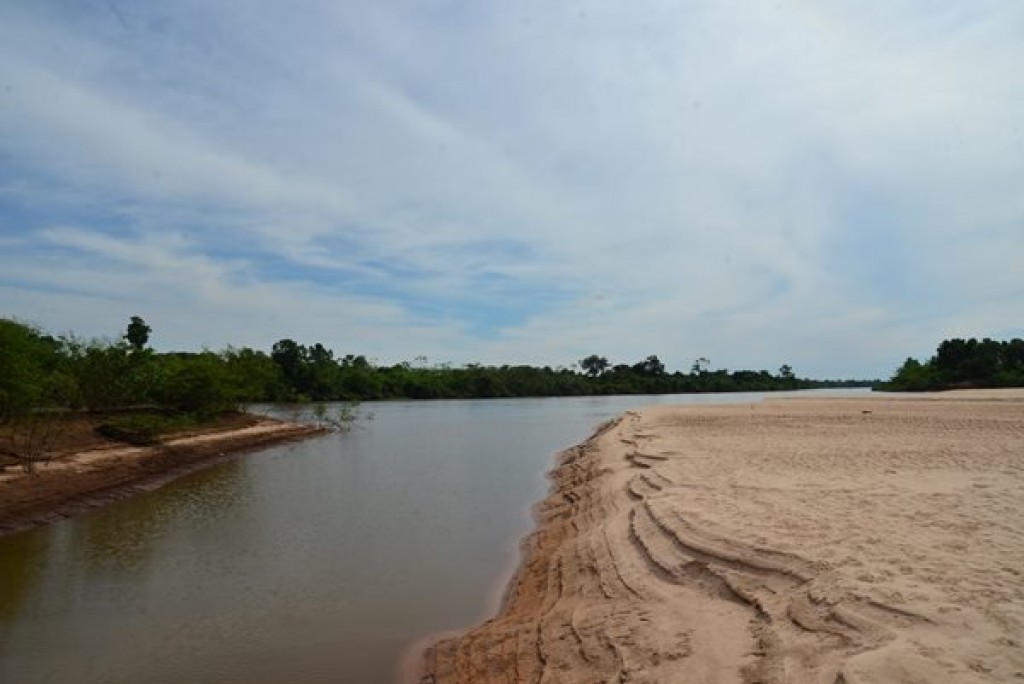 Semana de Meio Ambiente começa nesta segunda-feira em Goiás