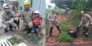 Corpo de Bombeiros faz resgates de dois animais em Goiás