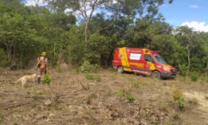 Idosa de 72 anos morada de Goiânia some em mata de Niquelândia