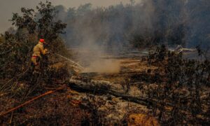 Comissão quer convocar Salles para falar sobre ações no Pantanal