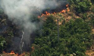 Bolsonaro se reúne com governadores da Amazônia Legal