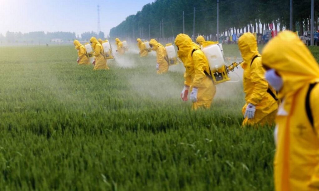 Governo Federal acelera liberação de novos agrotóxicos