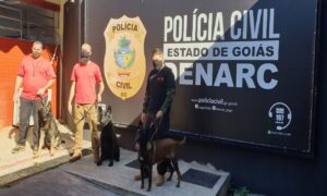 Polícia desarticula esquema de tráfico de drogas em Goianira