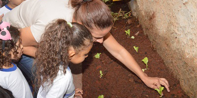 Projeto Horta Escolar 2019 inicia ações com 249 instituições cadastradas