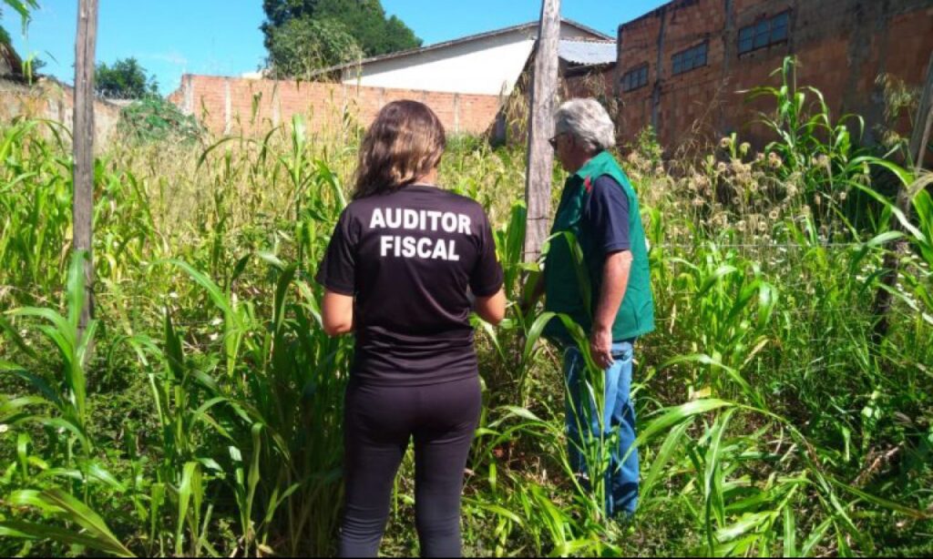 Prefeitura notifica 11 mil donos de lotes vagos por falta de manutenção