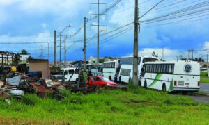 Denúncias de ocupações irregulares na Capital somam 92 em 2020