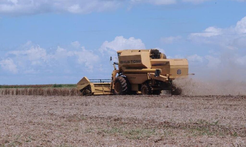 CNA prevê aumento da produção do agronegócio no próximo ano