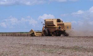 CNA prevê aumento da produção do agronegócio no próximo ano