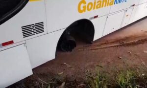 Roda de ônibus em movimento se solta e atinge carro em Goiânia